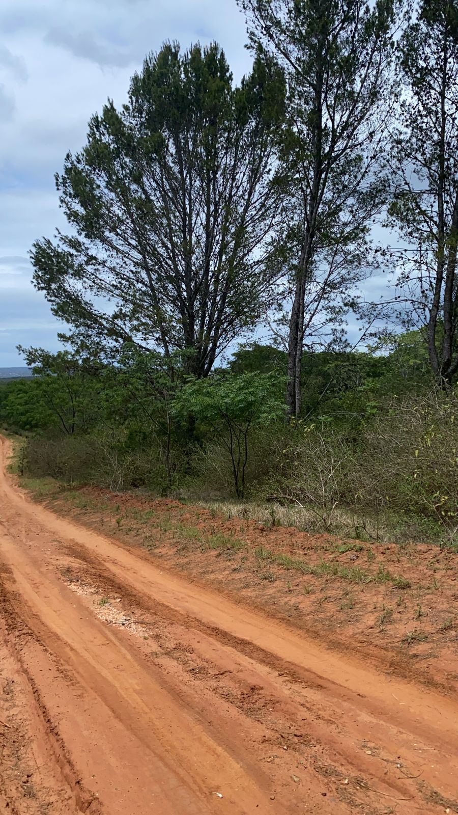 0 Bedroom Property for Sale in Bathurst Eastern Cape